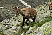 43 Uno si avvicina, osservato da un secondo